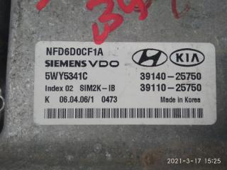 Hyundai Sonata EF G4JP 3914025750, 3911025750 2 ракурс