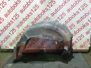 Подкрылок правый задний Hyundai Grand Starex TQ D4CB 868424h000 1 ракурс