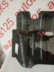Защита двигателя Hyundai Starex A1 D4CB 291204A600 2 ракурс