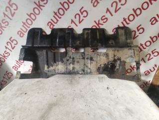 Защита двигателя Hyundai Starex A1 D4CB 91204A600 2 ракурс