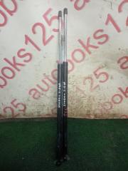 Амортизатор двери Hyundai Starex A1 D4CB 817804A140, 817904A140 1 ракурс