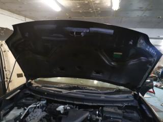 Капот Nissan X-Trail TNT31 QR25 (DE) 3 ракурс
