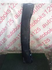Жабо Hyundai Grand Starex TQ D4CB 667974H000 1 ракурс