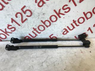 Амортизатор капота SsangYong Rexton RJN D27DTP 7115008B01, 28030669 2 ракурс