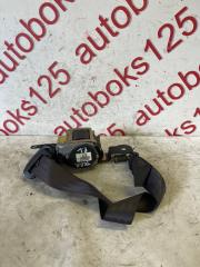 Ремень безопасности левый передний Hyundai Terracan HP D4BH 88810H1010 1 ракурс