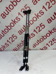 Амортизатор двери Hyundai Terracan HP D4BH 4 ракурс