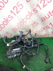 Подушка двигателя левая Hyundai Grand Starex TQ D4CB 912044H011 1 ракурс Подушка двигателя левая Hyundai Grand Starex TQ D4CB 912044H011 1 ракурс