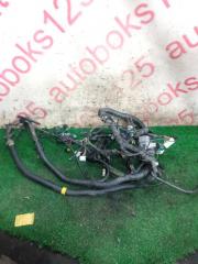 Проводка под капотом SsangYong Rexton 2005