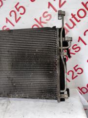 Радиатор кондиционера Daewoo Winstorm KLAC Z20S 20759648 3 ракурс