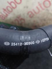 Патрубок радиатора правый Kia Sorento BL D4CB 254123E000 3 ракурс