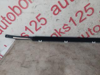 Молдинг на дверь правый передний Hyundai Santa Fe DM 822202W000 5 ракурс Молдинг на дверь правый передний Hyundai Santa Fe DM 822202W000 5 ракурс