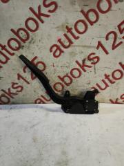 Педаль газа Chevrolet Captiva C100 Z20S 96625893 3 ракурс