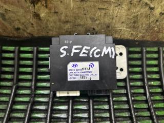 Блок управления Hyundai Santa Fe CM D4EB 955002B000 1 ракурс