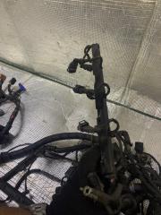 Проводка под капотом Hyundai Santa Fe CM D4EA 914282B630 4 ракурс Проводка под капотом Hyundai Santa Fe CM D4EA 914282B630 4 ракурс