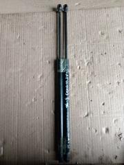 Амортизатор 5-ой двери Chevrolet Captiva 2012