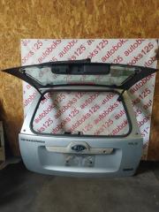 Дверь 5-я Kia Sportage KM D4EA 2 ракурс