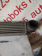 Радиатор интеркулера Daewoo Winstorm KLAC Z20S 96629070 2 ракурс