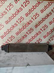 Радиатор интеркулера Daewoo Winstorm KLAC Z20S 96629070 4 ракурс