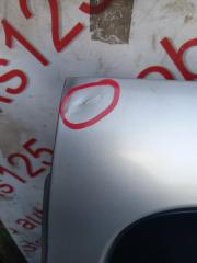 Дверь левая задняя Hyundai Grand Starex TQ D4CB 5 ракурс