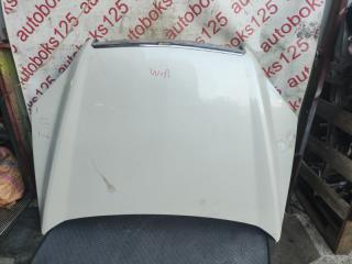 Капот Daewoo Winstorm 2008