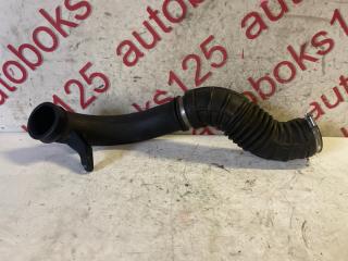 Патрубок воздушного фильтра Daewoo Winstorm KLAC Z20S 96628984 3 ракурс