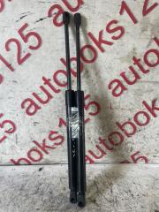 Амортизатор двери Hyundai Santa Fe CM D4EA 817702B000 2 ракурс