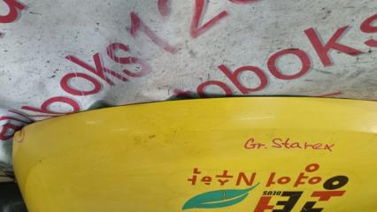 Капот Hyundai Grand Starex TQ D4CB 664004H000, 664004H010 4 ракурс