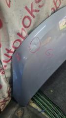 Капот Hyundai Grand Starex TQ D4CB 664004H000, 664004H010 2 ракурс
