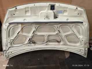 Капот Kia Carnival VQ D4HB 664004D010 5 ракурс