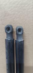 Амортизатор двери Hyundai Grand Starex TQ D4CB 817804H000 3 ракурс Амортизатор двери Hyundai Grand Starex TQ D4CB 817804H000 3 ракурс