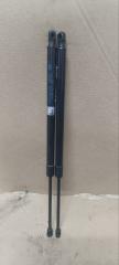Амортизатор двери Hyundai Grand Starex TQ D4CB 817704H020 1 ракурс Амортизатор двери Hyundai Grand Starex TQ D4CB 817704H020 1 ракурс