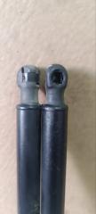 Амортизатор двери Hyundai Grand Starex TQ D4CB 817704H010 3 ракурс Амортизатор двери Hyundai Grand Starex TQ D4CB 817704H010 3 ракурс