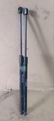 Амортизатор двери Hyundai Grand Starex TQ D4CB 817704H010 1 ракурс Амортизатор двери Hyundai Grand Starex TQ D4CB 817704H010 1 ракурс