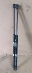 Амортизатор двери Hyundai Grand Starex TQ D4CB 817704H000 1 ракурс Амортизатор двери Hyundai Grand Starex TQ D4CB 817704H000 1 ракурс
