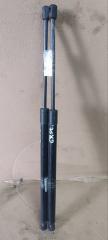 Амортизатор двери Hyundai Grand Starex TQ D4CB 817704H000 1 ракурс Амортизатор двери Hyundai Grand Starex TQ D4CB 817704H000 1 ракурс