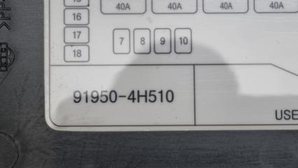 Блок предохранителей левый Hyundai Grand Starex TQ D4CB 919504H510 5 ракурс