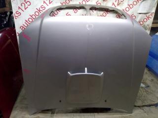 Капот Hyundai Terracan HP J3 79000H1202 1 ракурс