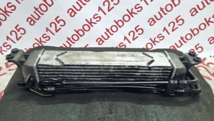 Радиатор интеркулера Hyundai Grand Starex TQ D4CB 281904H481, 3930084400 2 ракурс Радиатор интеркулера Hyundai Grand Starex TQ D4CB 281904H481, 3930084400 2 ракурс