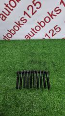 Болт Kia Carnival VQ D4HB 211142F000 1 ракурс Болт Kia Carnival VQ D4HB 211142F000 1 ракурс