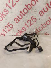 Проводка двери правая задняя Chevrolet Captiva C100 Z20S F061529 1 ракурс Проводка двери правая задняя Chevrolet Captiva C100 Z20S F061529 1 ракурс