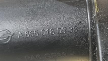  SsangYong Rexton RJN D27DTP 6650180533 5 ракурс