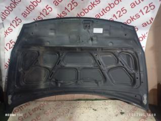 Капот Kia Carnival VQ D4HB 664004D010 5 ракурс