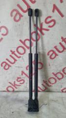 Амортизатор капота Daewoo Winstorm KLAC Z20S 96624422 2 ракурс