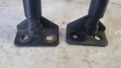 Амортизатор двери Daewoo Winstorm KLAC Z20S 96830123 2 ракурс