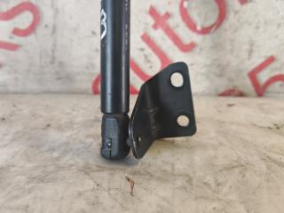 Амортизатор капота Daewoo Winstorm KLAC Z20S 96661404 3 ракурс