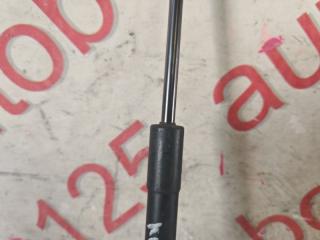 Амортизатор капота Daewoo Winstorm KLAC Z20S 96661404 4 ракурс