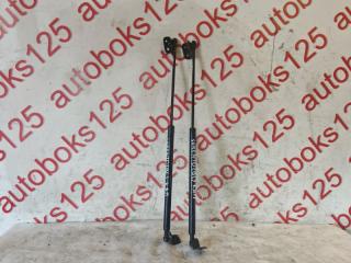 Амортизатор капота Kia Sorento BL D4CB 811813e000 1 ракурс
