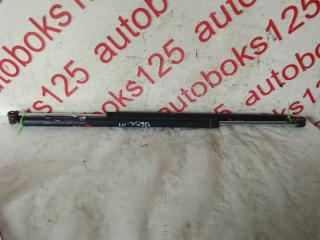 Амортизатор двери Hyundai Starex A1 D4CB 817804A140 1 ракурс Амортизатор двери Hyundai Starex A1 D4CB 817804A140 1 ракурс