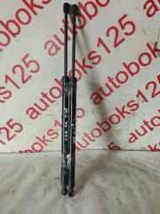 Амортизатор двери Hyundai Grand Starex TQ D4CB 817704H000 1 ракурс Амортизатор двери Hyundai Grand Starex TQ D4CB 817704H000 1 ракурс