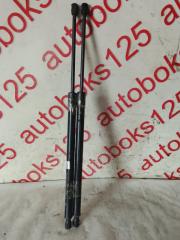 Амортизатор двери Hyundai Grand Starex TQ D4CB 817704H000 2 ракурс Амортизатор двери Hyundai Grand Starex TQ D4CB 817704H000 2 ракурс